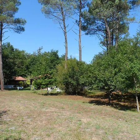 Les Chalets Du Gelat, Nature Et Calme Noaillan Exterior photo