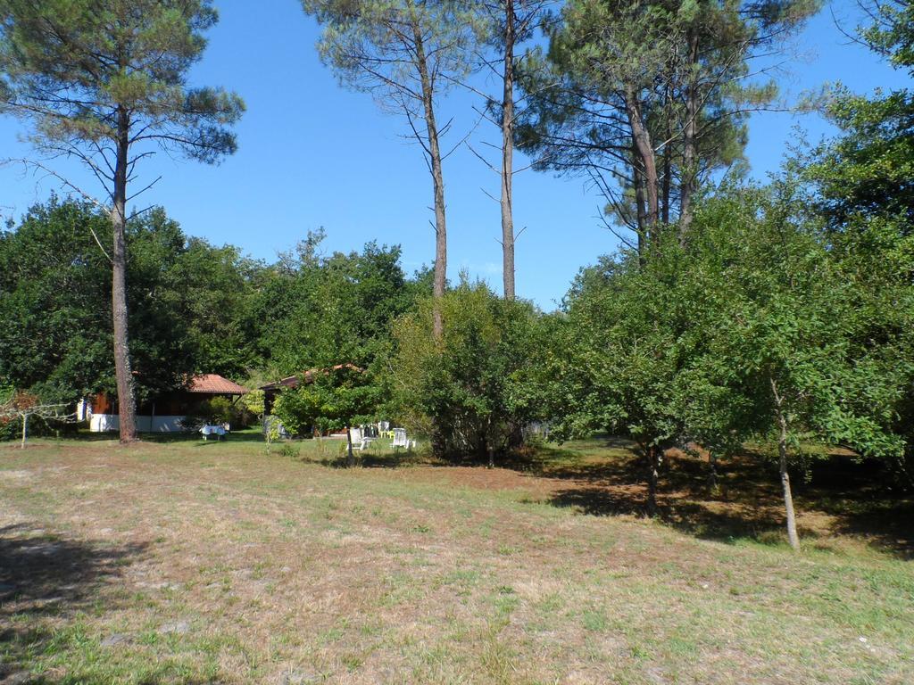 Les Chalets Du Gelat, Nature Et Calme Holiday home Noaillan